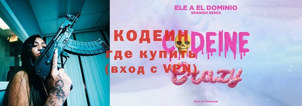 сатива Новозыбков