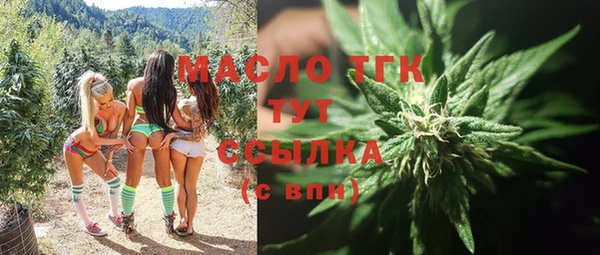 сатива Новозыбков