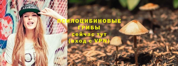 прущие крисы Баксан