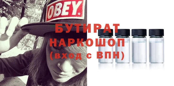 сатива Новозыбков