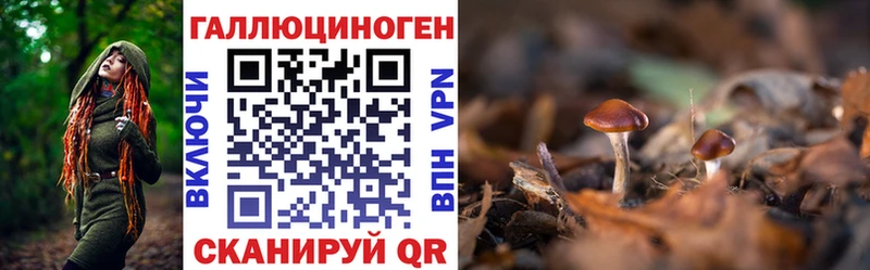 Псилоцибиновые грибы мухоморы  mega ТОР  Лениногорск 